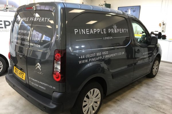 Pineapple Property Design And Van By Creative Fx 1